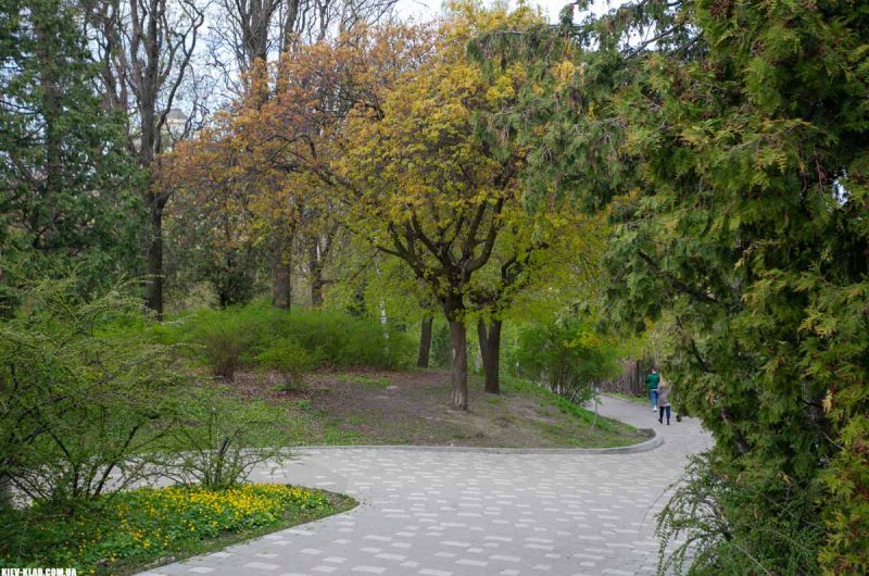 Киевский ботанический сад